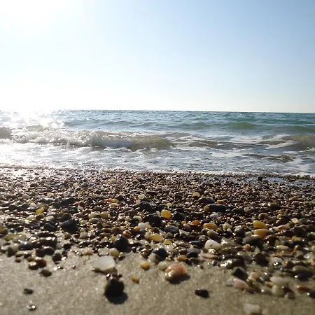 Sandy 4*